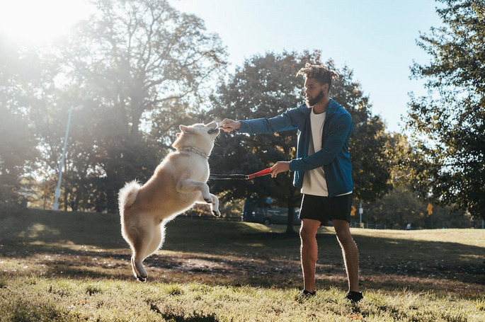 dog trainer